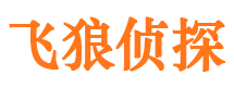 加查市侦探调查公司